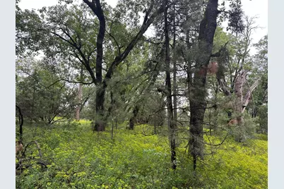 0 Campo Flores Lane, West Point, CA 95225 - Photo 16