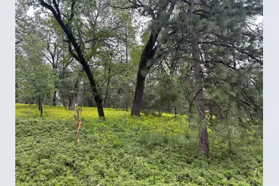 0 Campo Flores Lane, West Point, CA 95225 - Photo 12