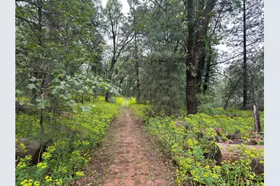 0 Campo Flores Lane, West Point, CA 95225 - Photo 14