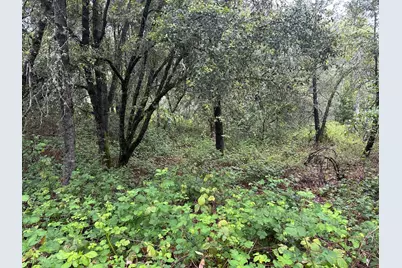 0 Campo Flores Lane, West Point, CA 95225 - Photo 20