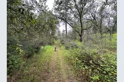 0 Campo Flores Lane, West Point, CA 95225 - Photo 22