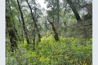 0 Campo Flores Lane, West Point, CA 95225 - Photo 28