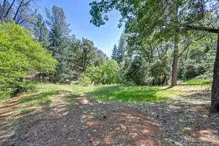 1205 Tokayana Ranch Ln, Colfax, CA 95713 - Photo 50