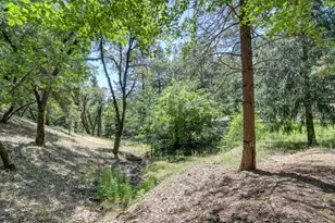 1205 Tokayana Ranch Ln, Colfax, CA 95713 - Photo 50
