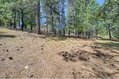 1205 Tokayana Ranch Lane, Colfax, CA 95713 - Photo 44