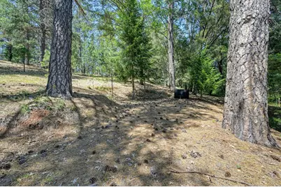 1205 Tokayana Ranch Lane, Colfax, CA 95713 - Photo 46