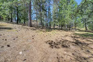 1205 Tokayana Ranch Ln, Colfax, CA 95713 - Photo 44