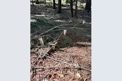 27059 Antelope Drive, Pioneer, CA 95666 - Photo 10