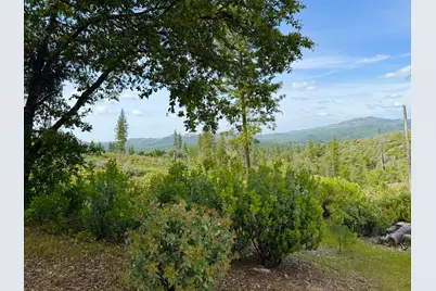 0 Fricot City Rd, Sheep Ranch, CA 95246 - Photo 2
