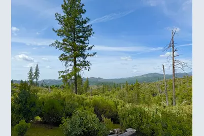 0 Fricot City Rd, Sheep Ranch, CA 95246 - Photo 4