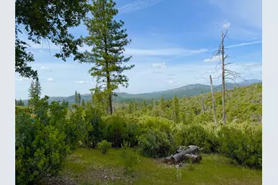 0 Fricot City Rd, Sheep Ranch, CA 95246 - Photo 14