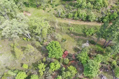 0 Fricot City Rd, Sheep Ranch, CA 95246 - Photo 10