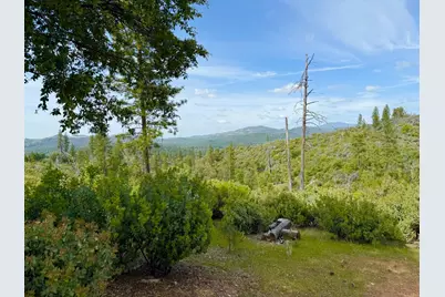 0 Fricot City Rd, Sheep Ranch, CA 95246 - Photo 12