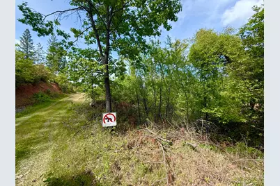 0 Fricot City Rd, Sheep Ranch, CA 95246 - Photo 18