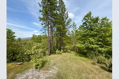 0 Fricot City Rd, Sheep Ranch, CA 95246 - Photo 6