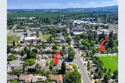 103 Broadview Lane, Winters, CA 95694 - Photo 40