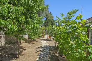4201 Olga Ln, Fair Oaks, CA 95628 - Photo 60