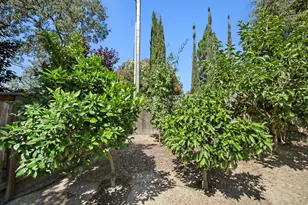 4201 Olga Ln, Fair Oaks, CA 95628 - Photo 58