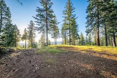 3260 Chipmunk Trail, Georgetown, CA 95634 - Photo 6