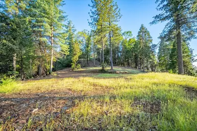3260 Chipmunk Trail, Georgetown, CA 95634 - Photo 2