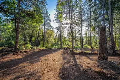 6880 Wentworth Springs Road, Georgetown, CA 95634 - Photo 6