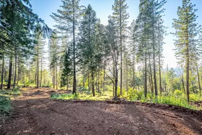 6880 Wentworth Springs Road, Georgetown, CA 95634 - Photo 4