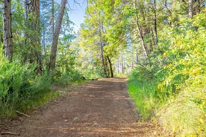6880 Wentworth Springs Road, Georgetown, CA 95634 - Photo 20