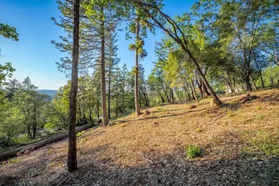 6880 Wentworth Springs Road, Georgetown, CA 95634 - Photo 10