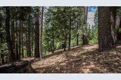 4648 Jibway Drive, Dorrington, CA 95223 - Photo 1