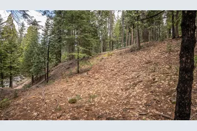 4648 Jibway Drive, Dorrington, CA 95223 - Photo 2