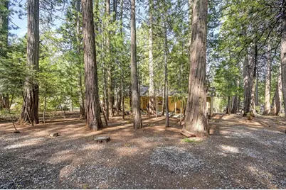 25917 Mount Misery Lane, Pioneer, CA 95666 - Photo 10