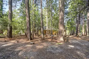 25917 Mount Misery Ln, Pioneer, CA 95666 - Photo 10