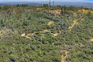 15438 Tarr Ditch Rd, Grass Valley, CA 95949 - Photo 88