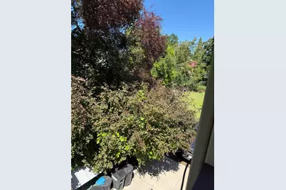 96 Court Street, San Andreas, CA 95249 - Photo 26