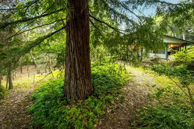 14073 Retrac Way, Grass Valley, CA 95949 - Photo 70