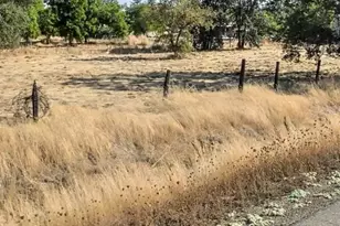 0 Lower Honcut Rd, Oroville, CA 95966 - Photo 1