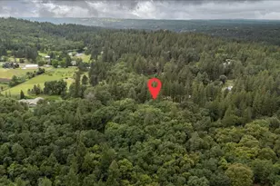 3061 Glee Ln, Placerville, CA 95667 - Photo 56