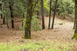 3061 Glee Ln, Placerville, CA 95667 - Photo 48