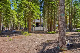 32 Clark Station, Sierra City, CA 96125 - Photo 24