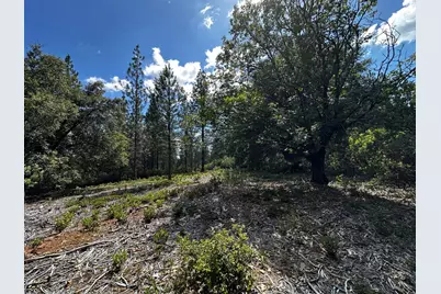 0 Deardorff Road, Glencoe, CA 95232 - Photo 4