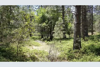 0 Deardorff Road, Glencoe, CA 95232 - Photo 2