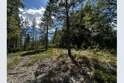 0 Deardorff Road, Glencoe, CA 95232 - Photo 12