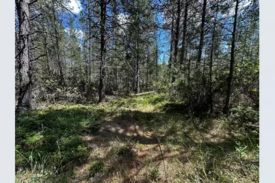 0 Deardorff Road, Glencoe, CA 95232 - Photo 44