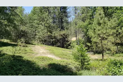 0 Deardorff Road, Glencoe, CA 95232 - Photo 8