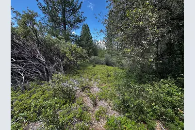 0 Deardorff Road, Glencoe, CA 95232 - Photo 28