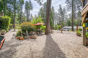 6169 Rolling Ct, Georgetown, CA 95634 - Photo 58