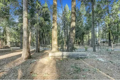 13202 Quaker Hill Cross, Nevada City, CA 95959 - Photo 76
