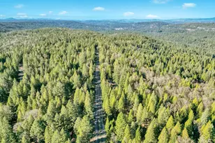 13202 Quaker Hill Cross, Nevada City, CA 95959 - Photo 52