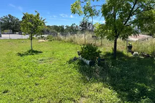 289 Hwy 4, Angels Camp, CA 95222 - Photo 2