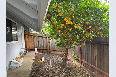 8320 Niessen Way, Fair Oaks, CA 95628 - Photo 42